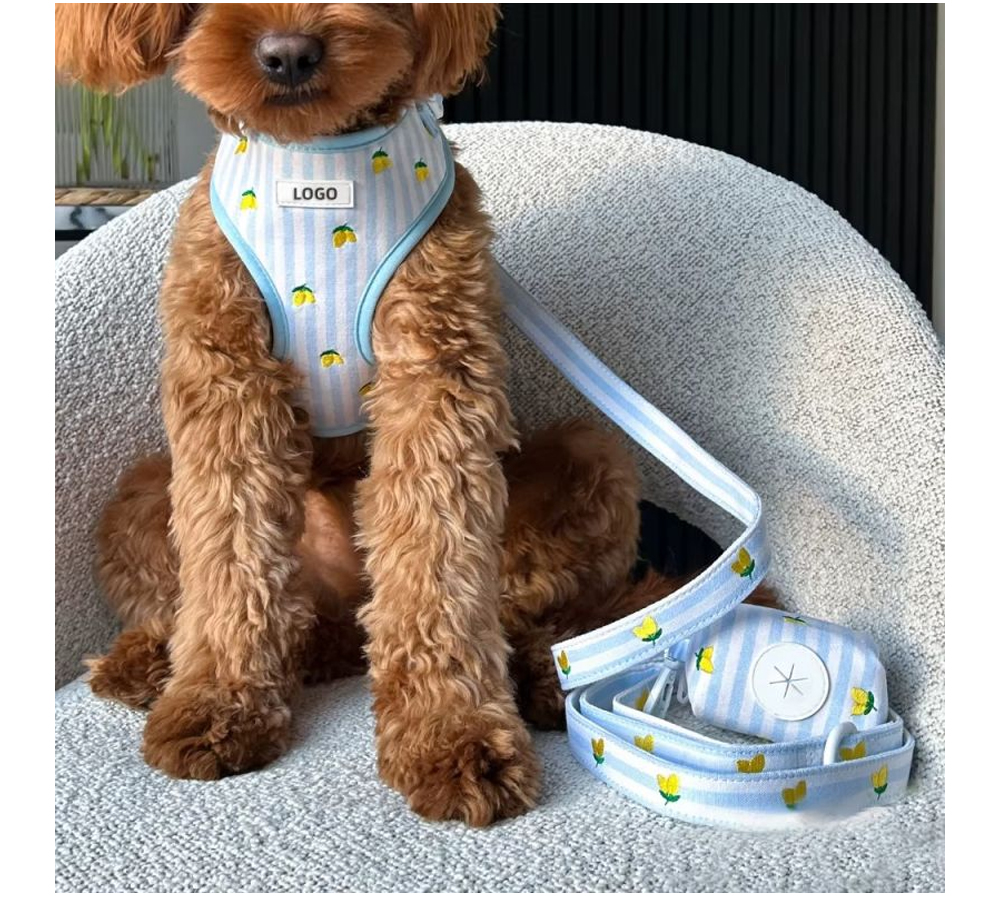 Custom Lemon Print Dog Harness, Collar & Leash 3-Piece Set (6).jpg